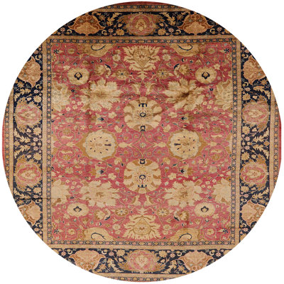 Cielle Oriental Indoor Rug