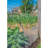 Silver Metal Fencing-26003205