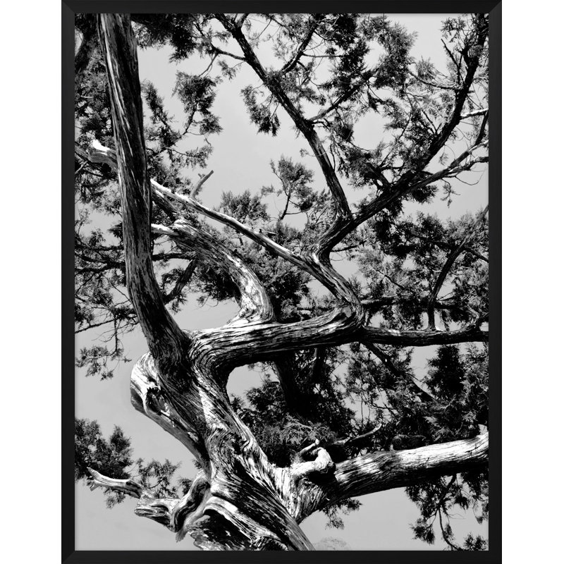 The Blues 2 Print by Mat Sanders