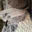 Customer photo 2 of 2