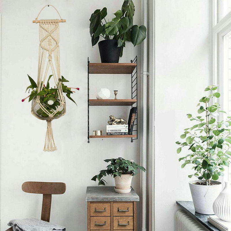 Cherylene Plant Hanger