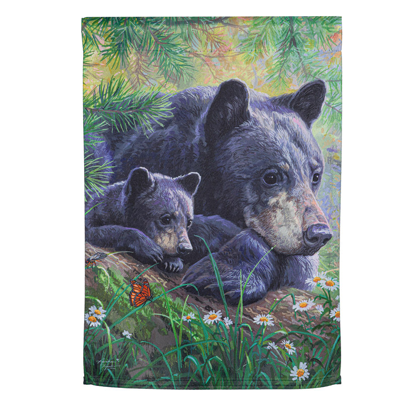 Maman et bébé ours dans le pré