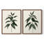 «Soft Greenery I», reproduction encadrée de qualité supérieure - prête à être accrochée - aucun clou requis - aucun clou requis-262908246-262908203