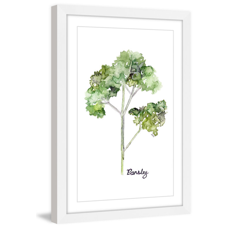 « herb parsley », reproduction d’art sur papier encadrée, H 24 po x l 16 po x P 1,5 po