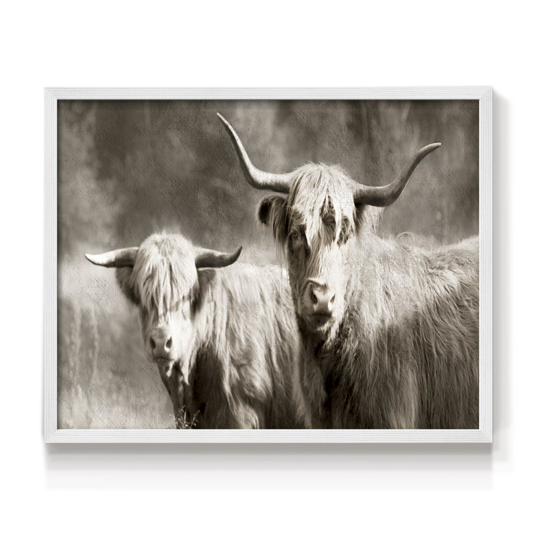 Sépia poilu Highland - Imprimé encadré - Restickable, H 16 po x l 20 po, Blanc