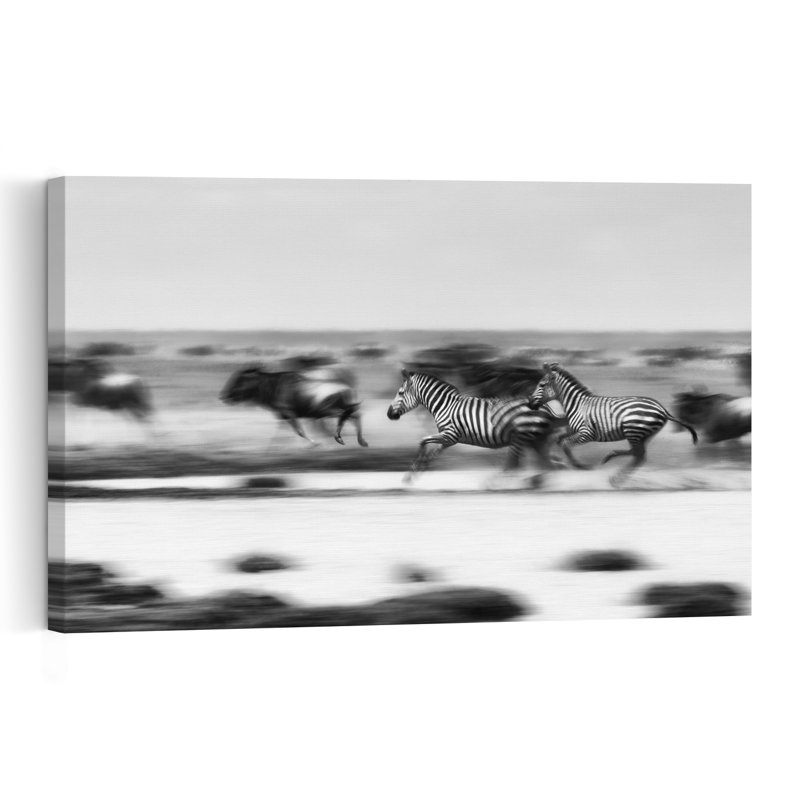 Zebras Wildebeest Run Contemporary Zebra Wall Art Print 1 Piece Wrapped Canvas Wall Art, 60.96cm H x 91.44cm W