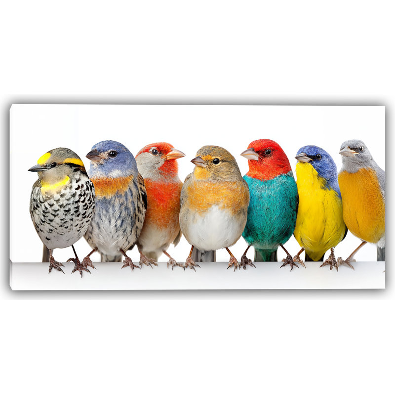 Golden Sky, oiseaux chanteurs sur toile tendue, H 20 po x l 40 po