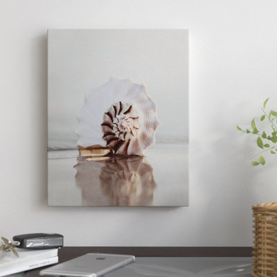 " Seashell " by Bree Madden