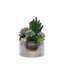 Faux Succulent in Pot