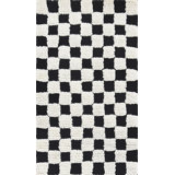 Checkerboard 2'3" X 3'9" Rug