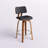 Benelli Mid-Century 26" Counter Stool With Swivel-669606331