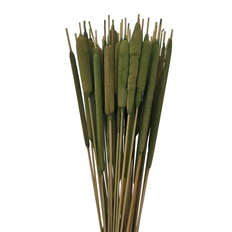 Flournoy Arrangement, Fresh Grass