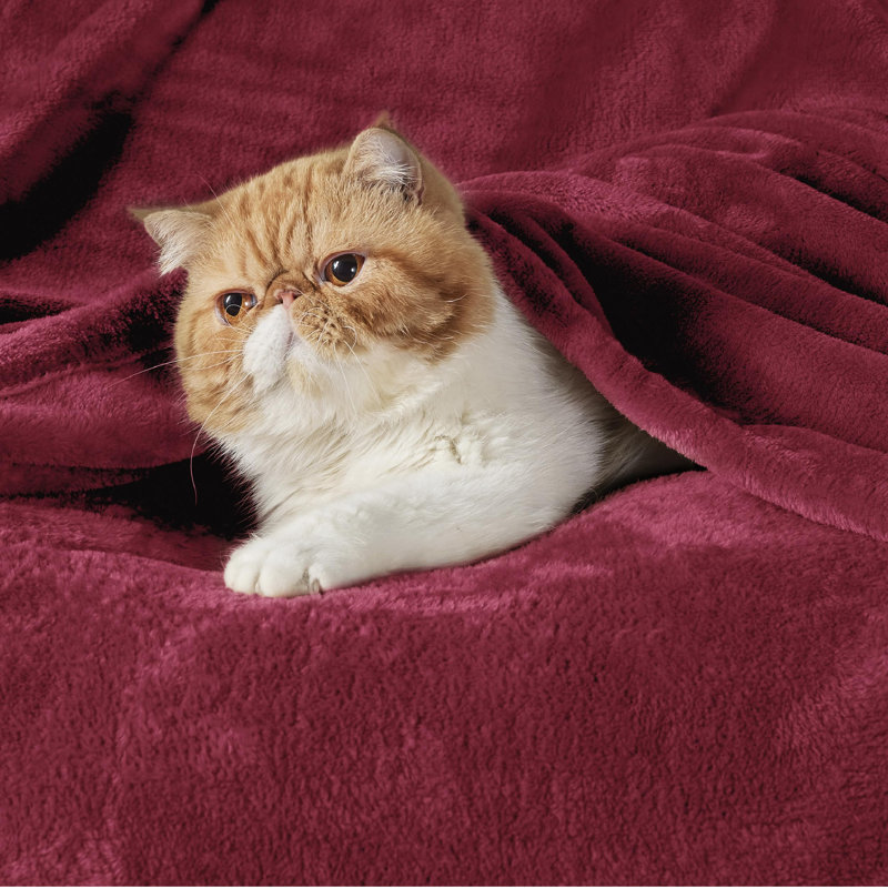 Bedsure Soft Fluffy Fleece Throw Blanket for Sofas&Beds, Burgundy, 150cm x 130cm