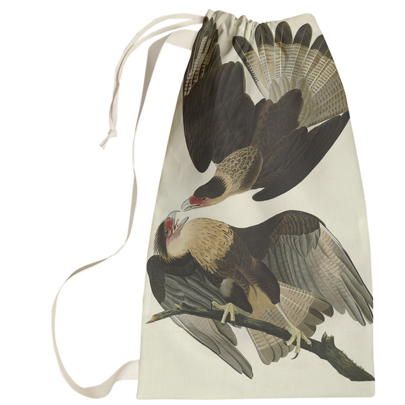 Sac à linge brasilian caracara eagle Maciejewski, Petit (H 64 po x l 20 po x P 1,5 po), Brun
