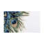Pavone Bath Rug-1543221479