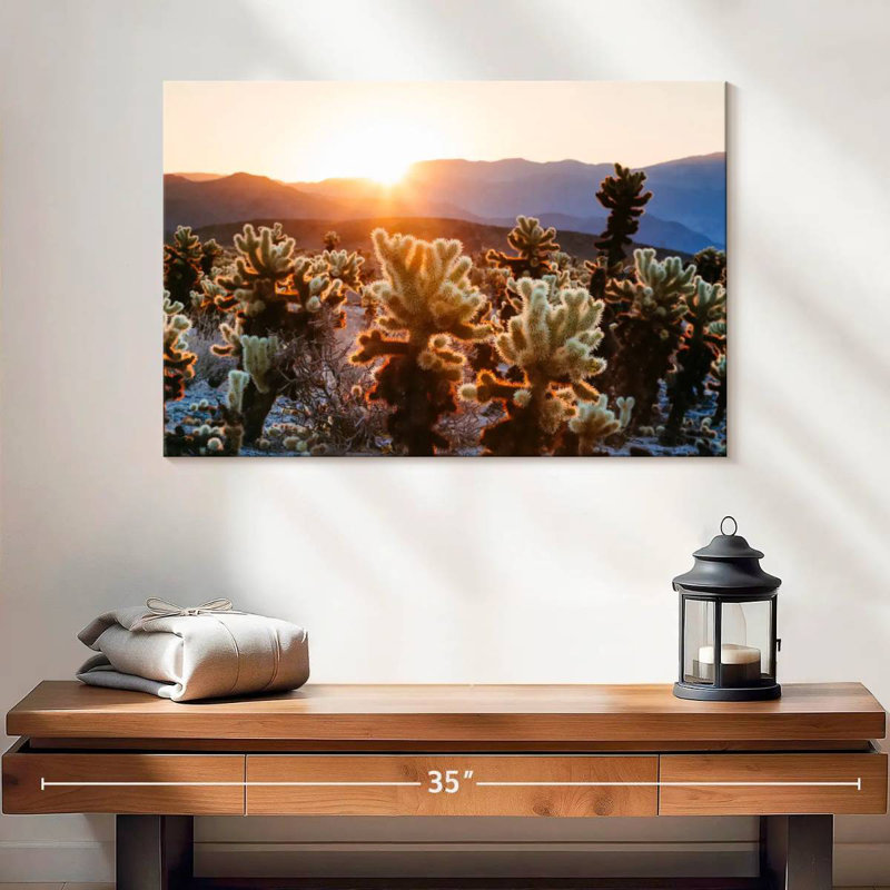 Harnek Cactus Garden, 16" H x 24" W