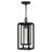 Republic Composite 1-Light Outdoor Hanging Double Frame Lantern