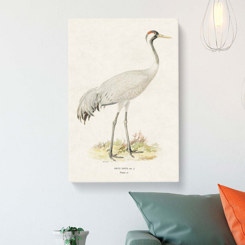 Common Crane by Von Wright - Wrapped Canvas, 50cm H x 35cm W x 3cm D