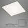 Frameless LED Flush Mount