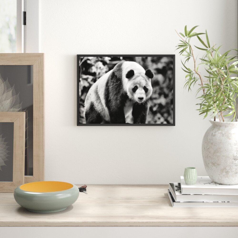 Gerahmtes Wandbild großer Pandabär