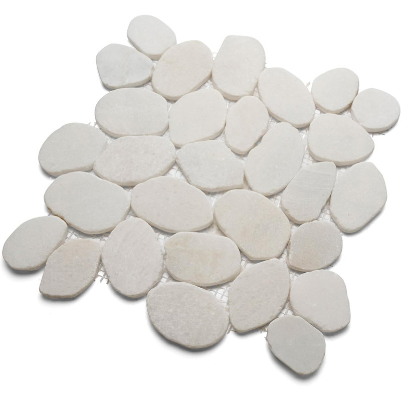 Carrelage en cailloux géant 12 po x 12 po CNK Tile