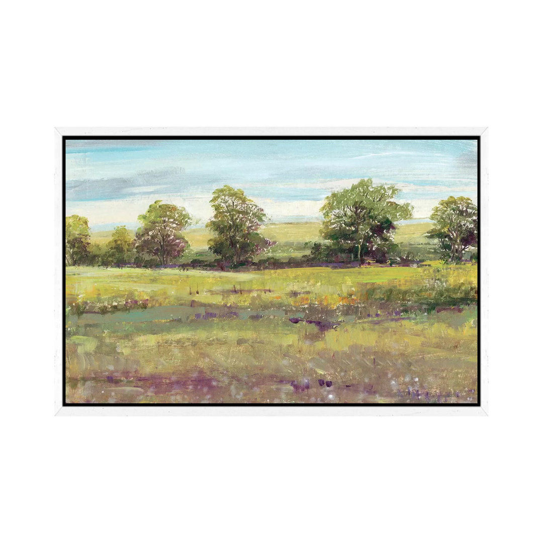 Abundant Spring I von Tim OToole - Gallery-Wrapped Canvas Giclée on Canvas