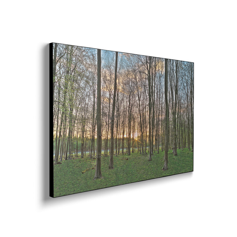 Impression sur toile, "Ste Sunset" par Assaf Frank