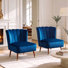 Fauteuil d'appoint moderne en velours avec dossier capitonné à motifs floraux (lot de 2)
