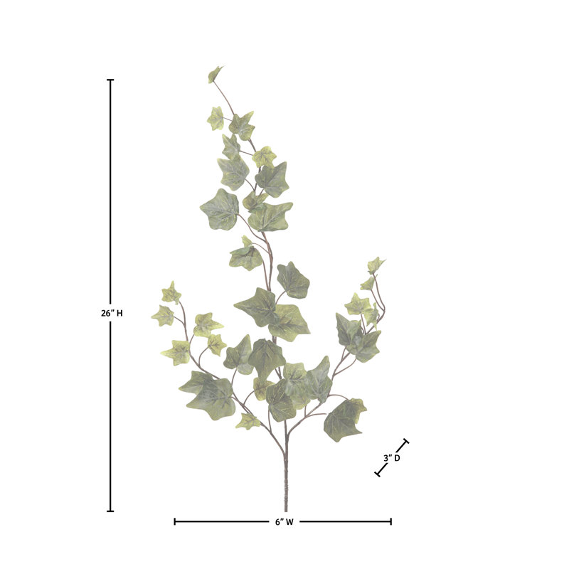 Vaporisateur 26 po English Ivy Frost
