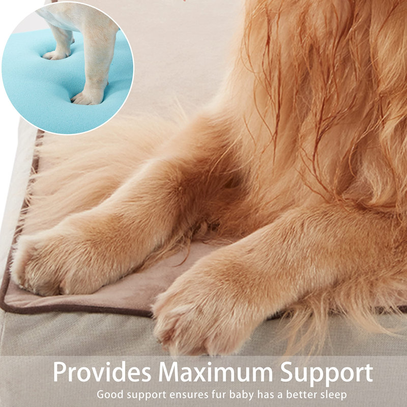 Lit orthopédique pour chien avec mousse à mémoire de forme, Grand (H 3 po x l 35 po x P 22 po), Kaki