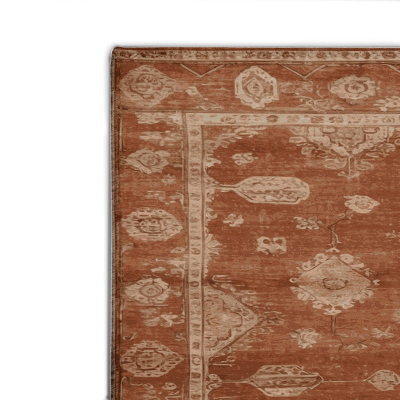 Tapis intérieur et extérieur brun Overdyed, Rectangulaire 2 pi x 3 pi