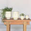 Cache pot en céramique-1946057646