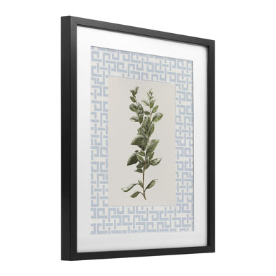 «Fresh Herb» sur reproduction géométrique encadrée sous verre, design par Diannart