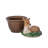 Forest Walk Deer Bowl With Lid