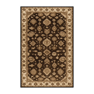 Machine Washable Overdyed Brown Area Rug