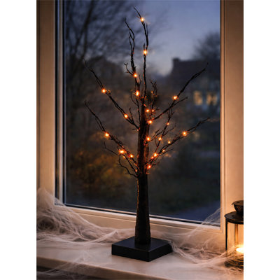 Lighted Trees & Branches