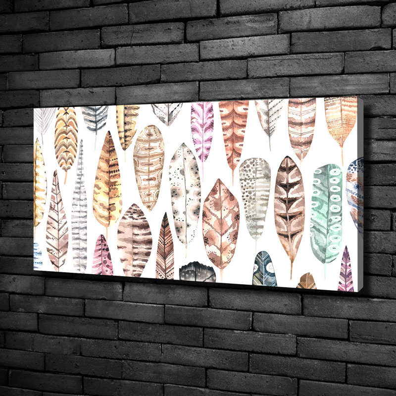 Colourful Feathers - Wrapped Canvas Print