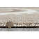 Power Loom Beige Rug