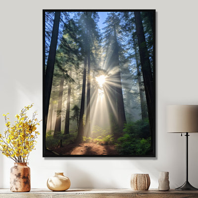 «God Rays Sunshine Through The Trees», impression d'art mural séquoia