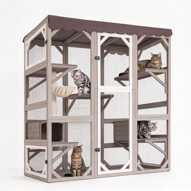Grande cage à chat pour chat Catio