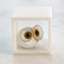 Alabaster Big Eyed Owl in Cube-Sm