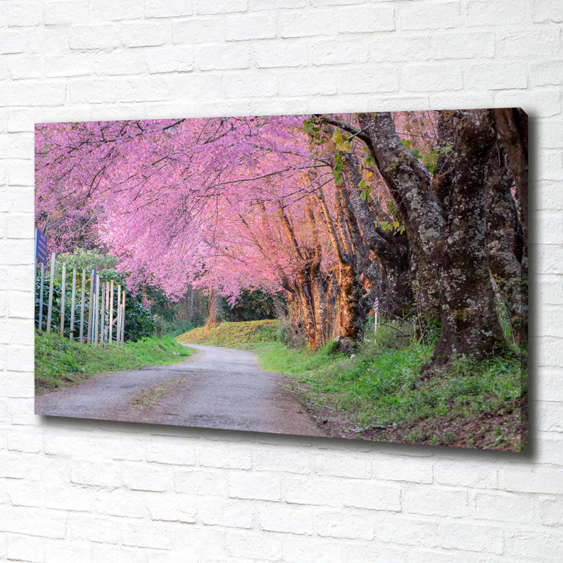 Cherry Blossoms - Wrapped Canvas Print