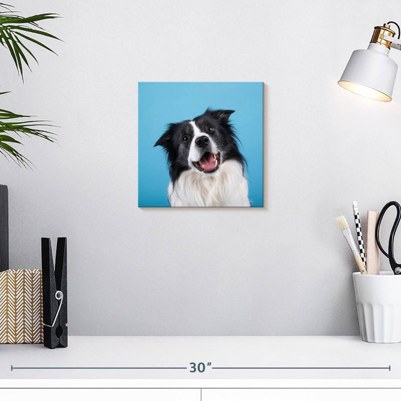 Crowle Happy Border Collie, H 10 po x l 10 po
