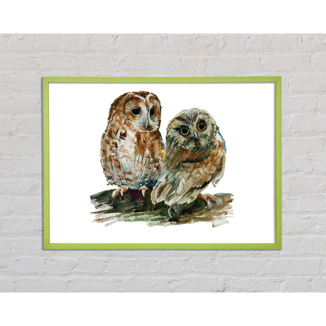 Clarisabel Barred Owl Duo - Einzelner Bilderrahmen Kunstdrucke