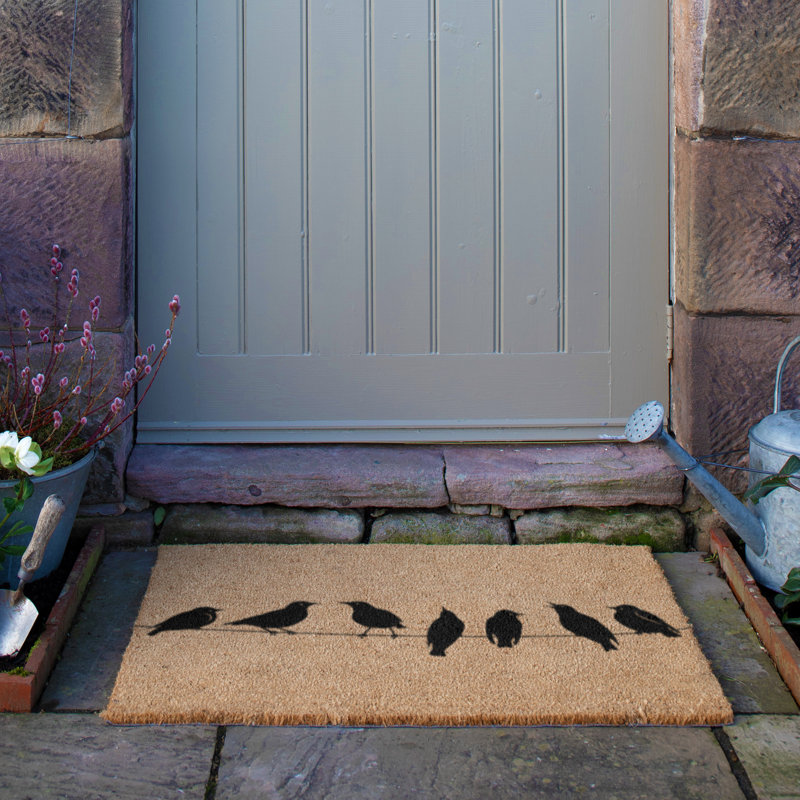 Birds On Wire Non-Slip Indoor/Outdoor Door Mat, 60cm W x 40cm L