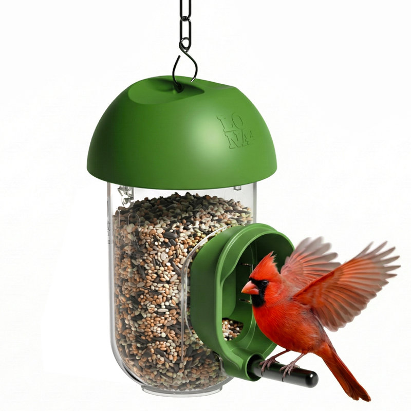 Mangeoire à oiseaux Lona, Paquet de 1