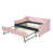 Pink est en rupture de stock