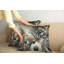Ensemble de 2 housses de coussin Ambesonne Abstract 18 po x 18 po bleu ardoise foncé et brun clair-99021781-99021782