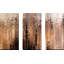 Esaïe 41:10. «I Am with You» par Mark Lawrence - ensemble de 3 impressions sur toile tendue-1590514923