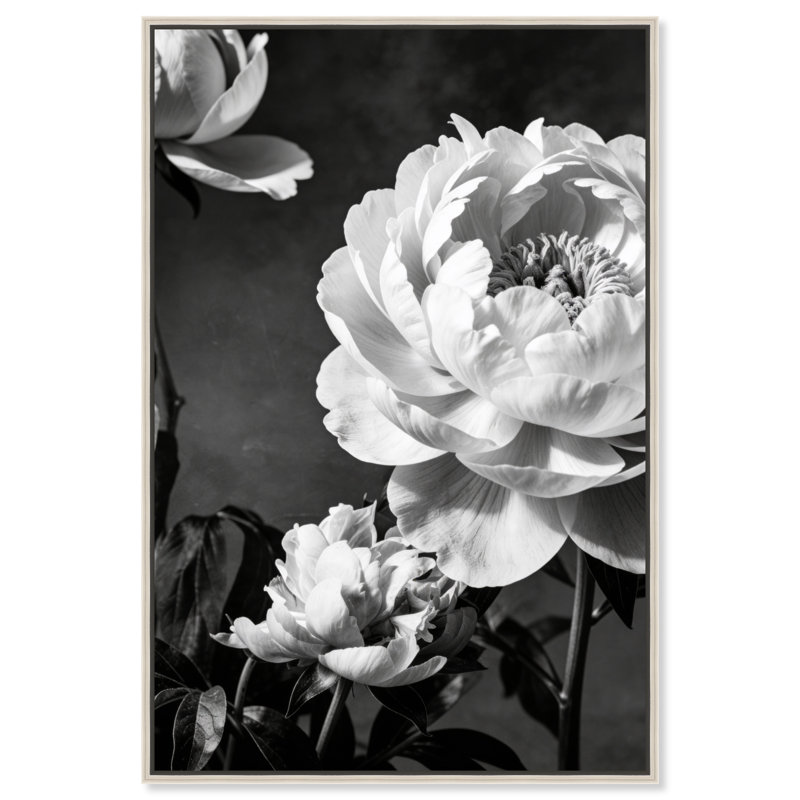 Still Peony Print by Oliver Gal, 16" H x 11" W, Silver Floater Frame